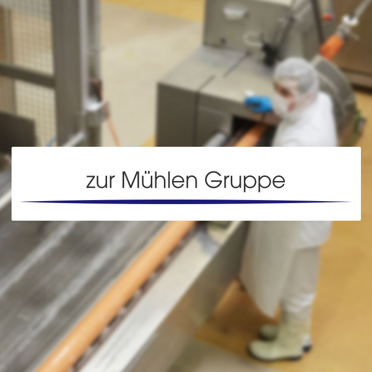 Zur Mühlen Gruppe EDI System